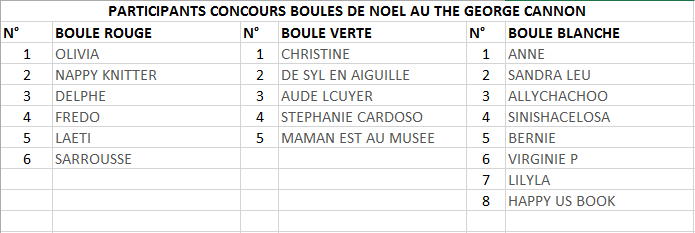 20151216CONCOURS BOULES NOEL GEORGE CANNON (4)